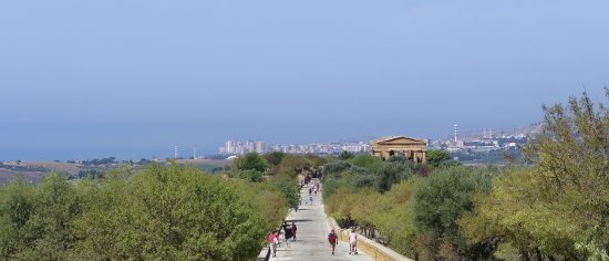 Агридженто 1