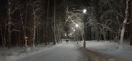 Вечер в заснеженном парке 2