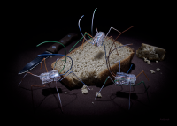 Фоторазмышления