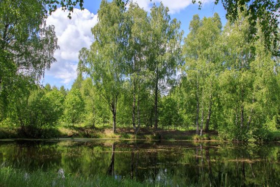 51231561404_8851b43521_o