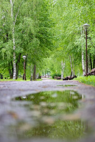 После дождя