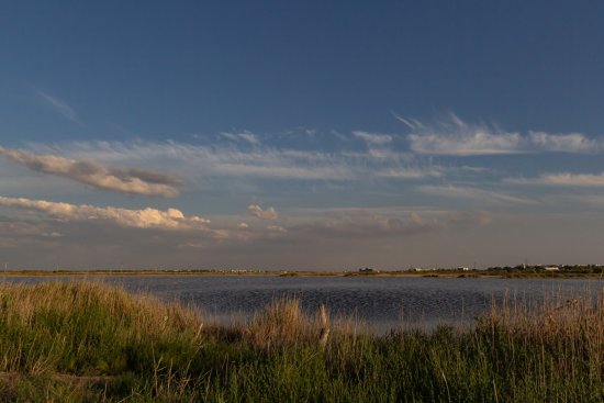 50278992383_26e8d100b7_o