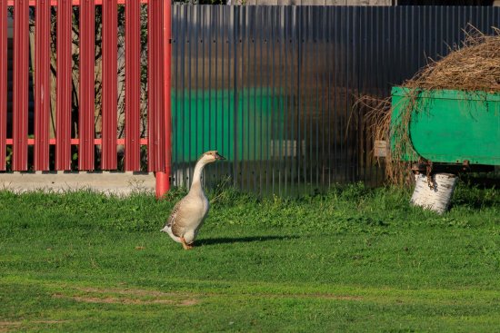 51219815695_b655d87235_o